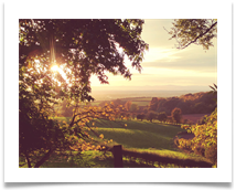 Autumn sunset - James Leslie